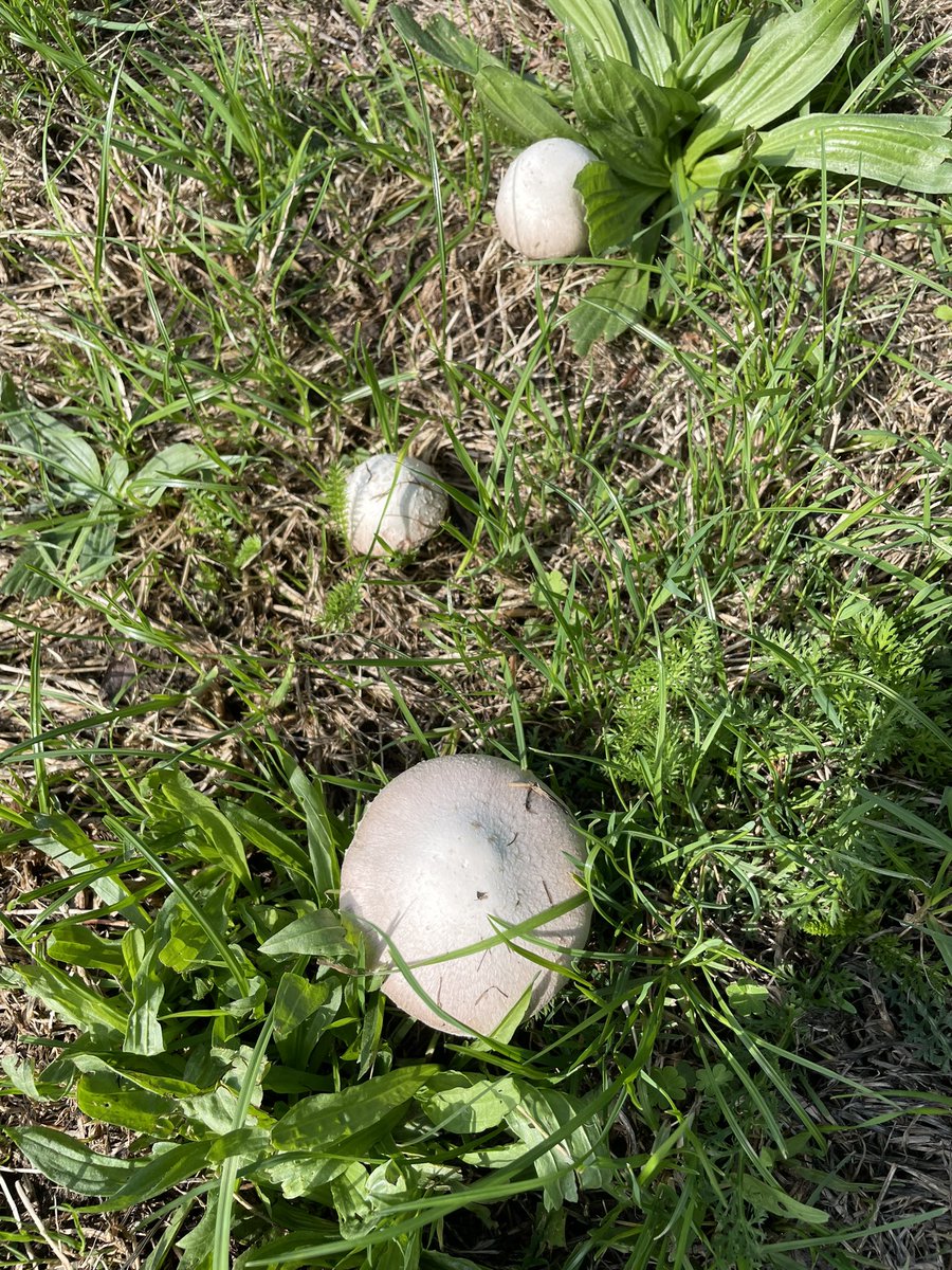 Absolutely Wild tweet media