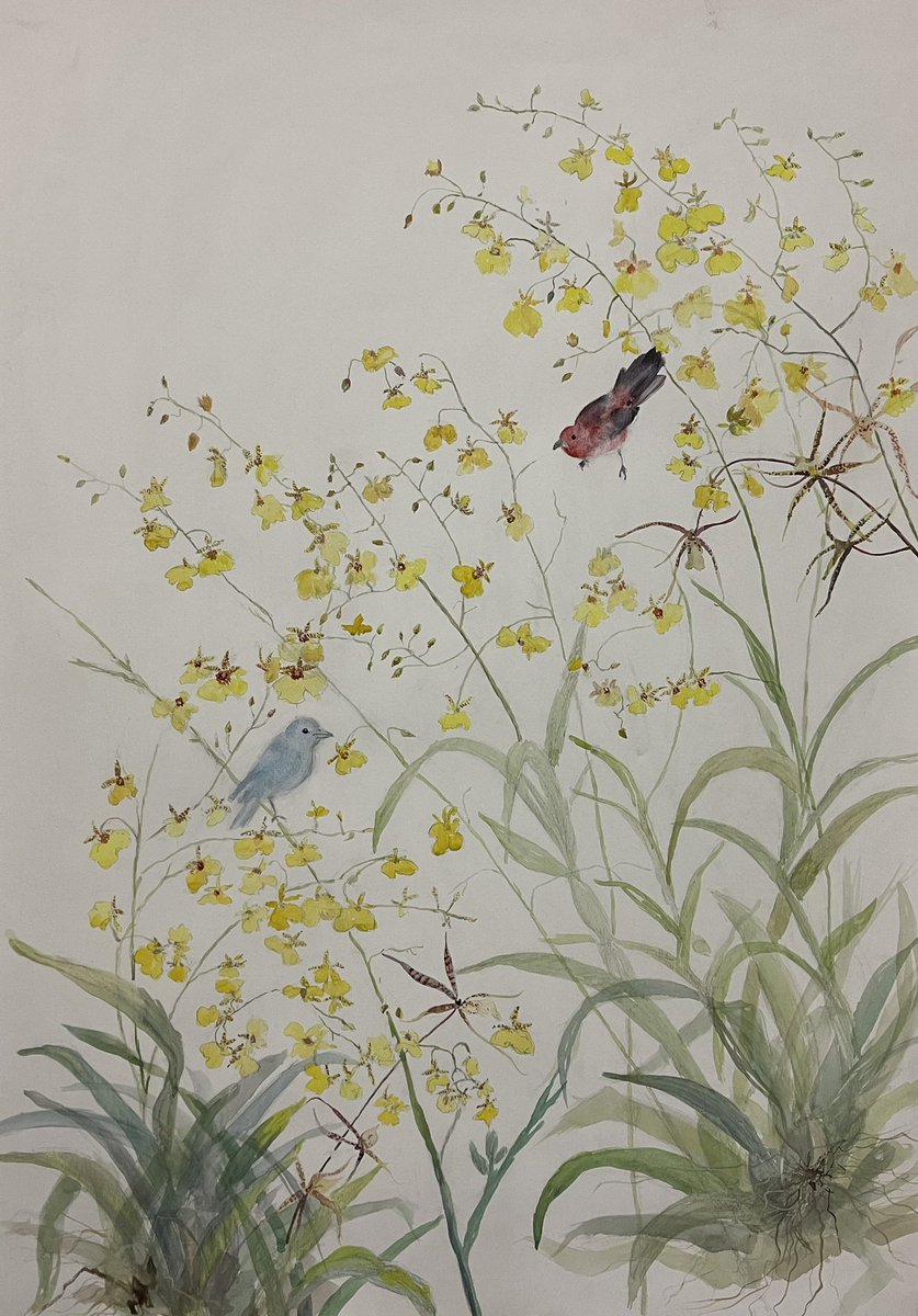 sylviacordeiro's tweet photo. Primavera, aquarela sobre papel. 70x100 cm. Disponível para venda https://t.co/dyEfjEoafc