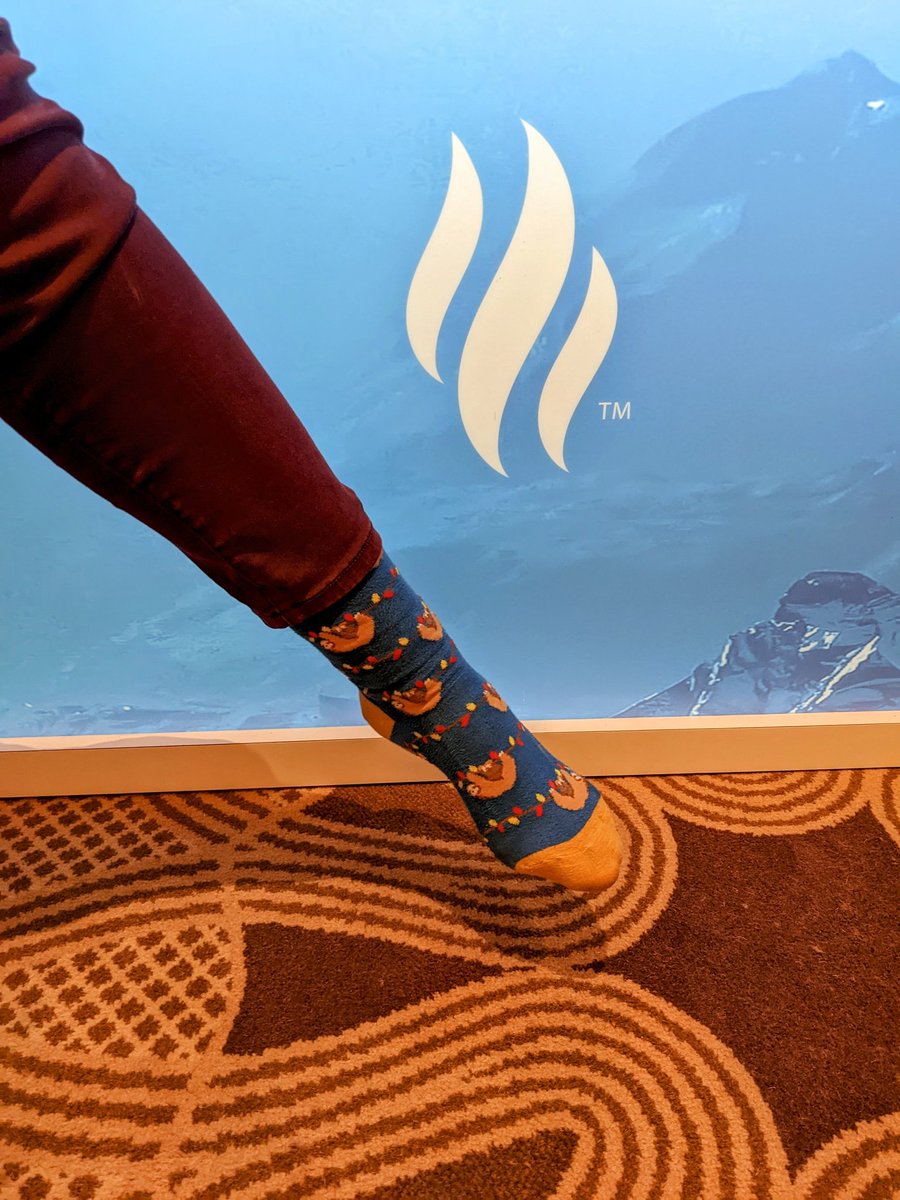 kalyse_b's tweet photo. Having a great time at the Healthcare Analytics Summit with my #SocksofHAS
#slothsonChristmaslights #HAS22 https://t.co/IDlQutkvnu
