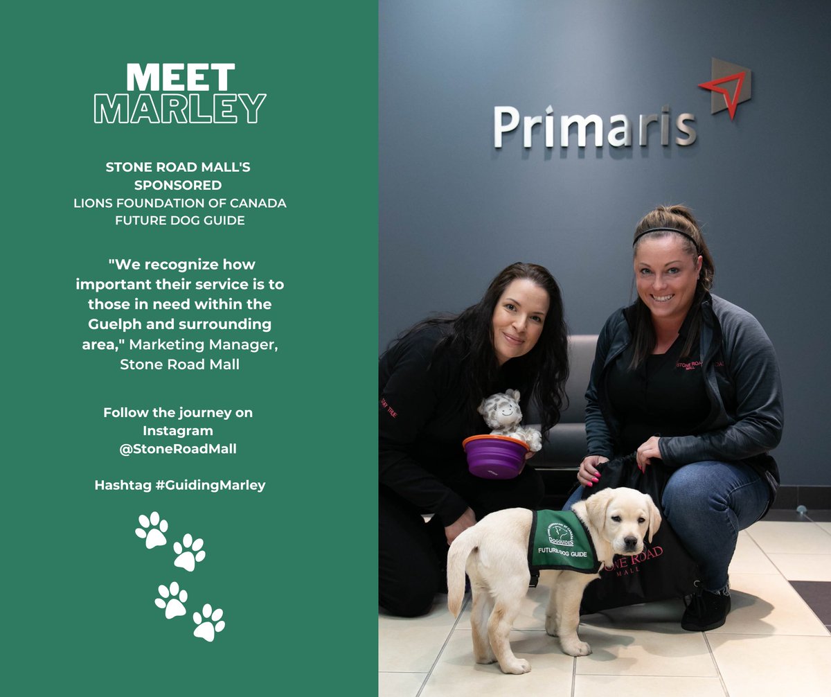 stoneroadmall's tweet image. MEET MARLEY! Stone Road Mall has teamed up with @lfcdogguides to showcase the journey of Marley, Stone Road Mall’s sponsored future dog guide! Join us on Marley’s journey and help spread awareness for this amazing organization!

#GuidingMarley #lfcdogguides #futureguidedogs