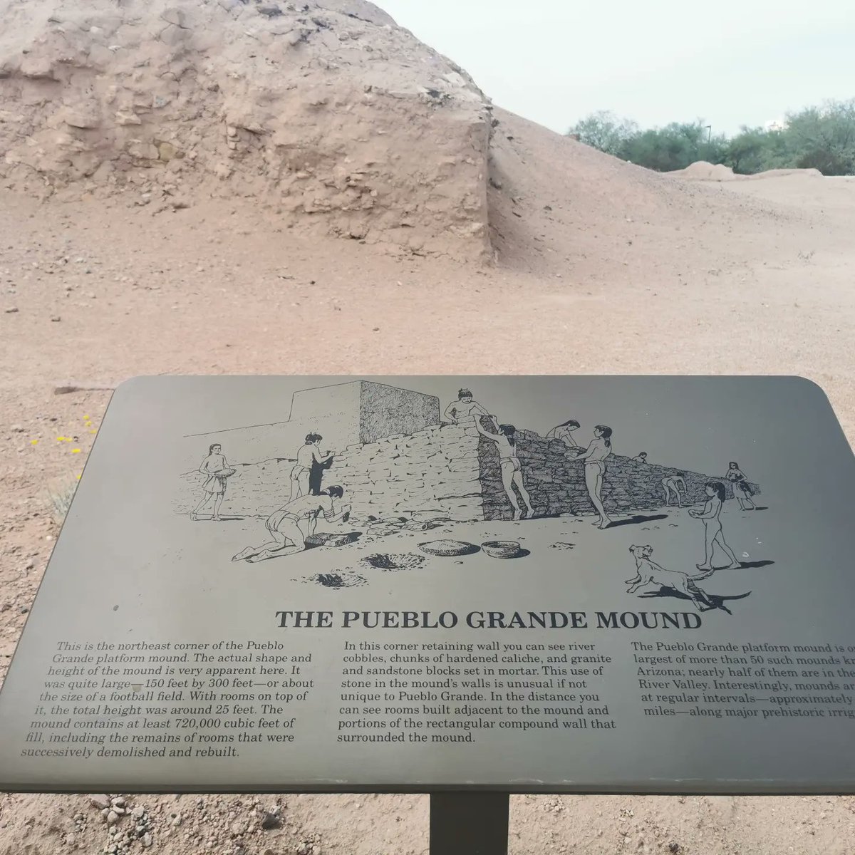 Tucur's tweet photo. Interesante la cultura #pueblo en @museumofnaz @arizona. Son escasas las muestras arqueológicas en una cultura Nativo Americana y esta es una de ellas. Siendo #CHACO la más emblemática. https://t.co/oy2zfjTdtD