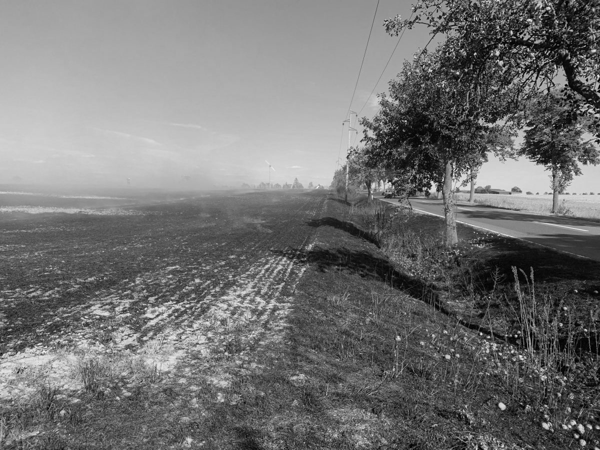 #Flächenbrand 

Beitragslink: is.gd/poquDW

#Feuer #Aktuelles #Einsätze