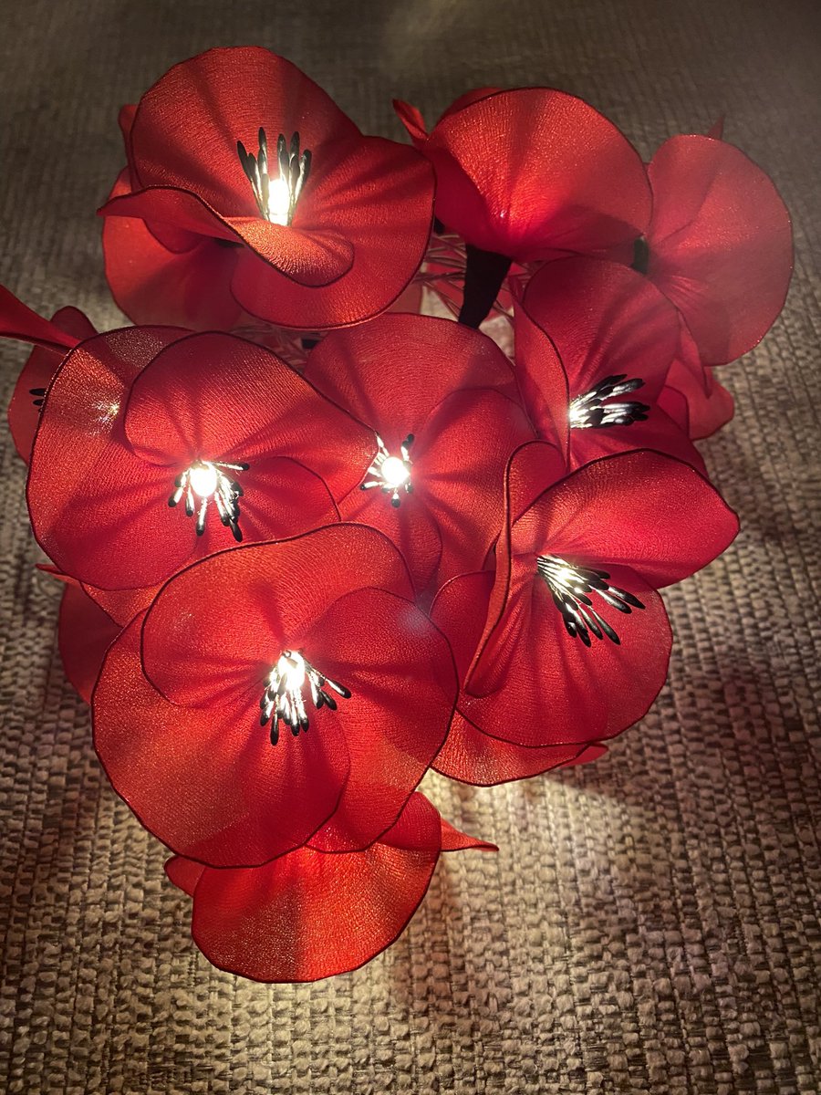 annagti93's tweet photo. LED Poppy fairy lights https://t.co/TBcBf6C05d #handmadenation #crafthour #sbs #womeninbiz #handmadehour #fairylights #flowers #handmadebyme #decorative #home #decor #giftideas ❤️ https://t.co/MeX2ufCa3s
