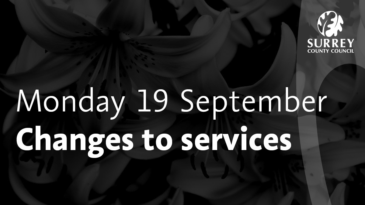 FcoAB5VXkAIyfan.jpg:large