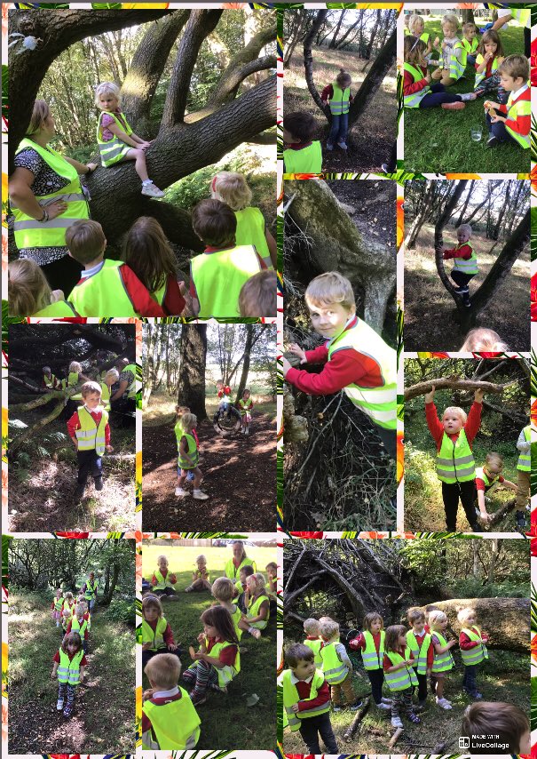 AuchinlochPrim1's tweet image. Nursery children paid a visit to Cardyke Wood and  play park today☀️🙂👍🏻 
#localenvironment
#exploringtheworldaroundme
#earlyyears
#littleexplorers