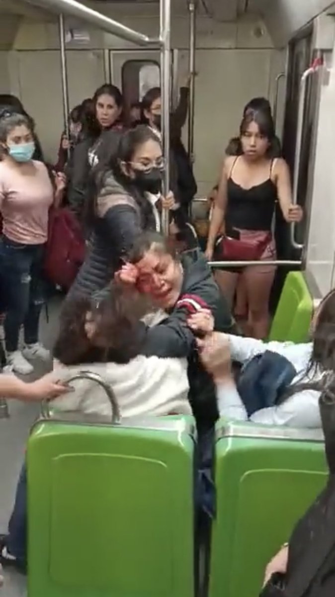CDMXMetro's tweet photo. Vagones de mujeres, vagones de hombres. Al final, todos se agarran de los pelos. https://t.co/BVIIRMcGAv