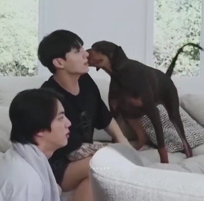 homeisjungkook's tweet photo. https://t.co/YNoKHo2zVS