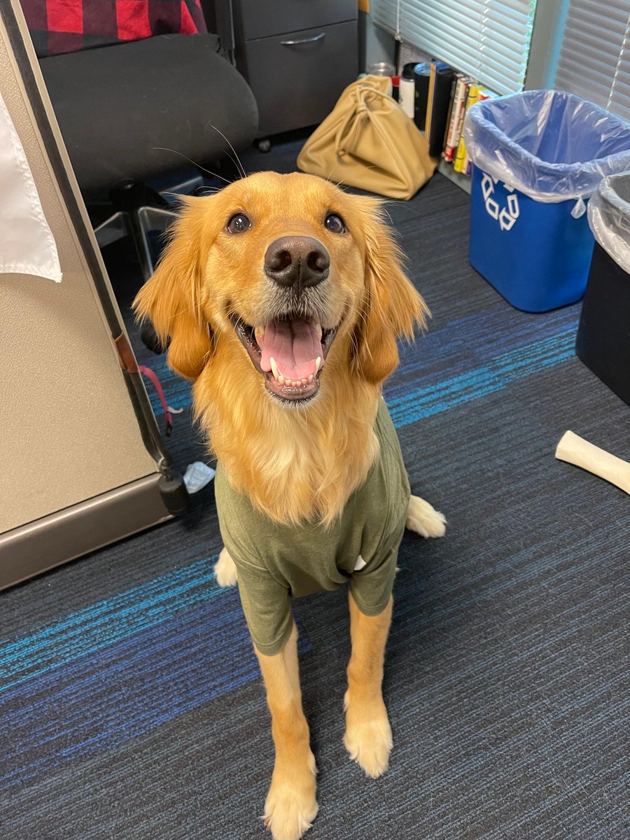 ThunderCat_Tech's tweet photo. Marlee modeled some of @ThunderCat_Tech's fall merch for us in the office today! Leave a comment below to let us know which is your favorite.
#ThunderDOG https://t.co/SVMQKsdMGT