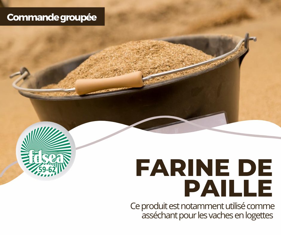 fdsea59's tweet photo. La farine de paille est un excellent asséchant pour les vaches en logettes car : 
▪️ Ne colle ni au sol des logettes ni au corps des vaches
▪️ Facile à racler lorsque le produit est imbibé
▪️ Pas d’interférence négative dans l’utilisation du lisier
Commandez avant le 23/09 ! https://t.co/4Ibp0JsBXP