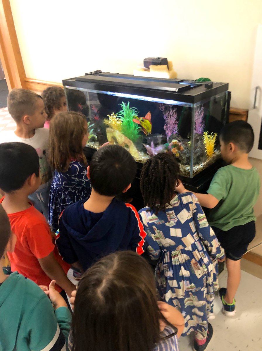 Spotted some kindergarteners full of excitement searching for some Lilja fish! 👀🐠