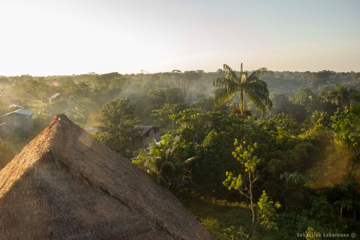 ParquesColombia's tweet photo. Entre los servicios ambientales que provee el Parque Nacional Natural Amacayacu, tenemos:

Producción de agua
Regulación climática
Almacenamiento de carbono
Dispersión y polinización
Mantenimiento de diversidad genética
Materias primas (maderas, fibras, leña)

#ConozcoMisParques https://t.co/9xXdHY4xRL