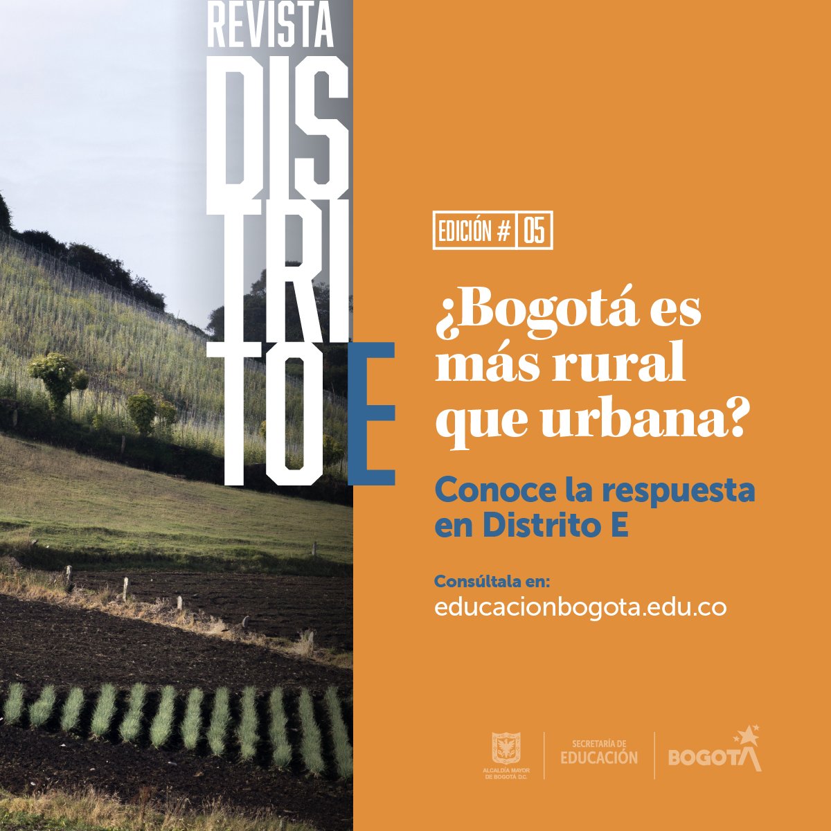 Educacionbogota's tweet photo. ¡Ya está disponible una edición más de #DistritoE, nuestra revista Digital!
Consulta la quinta edición. Lee y escucha los contenidos que hacen referencia a la educación rural en Bogotá.
👉🏻https://t.co/bX65rjGtxc https://t.co/O9ruRpEtRN