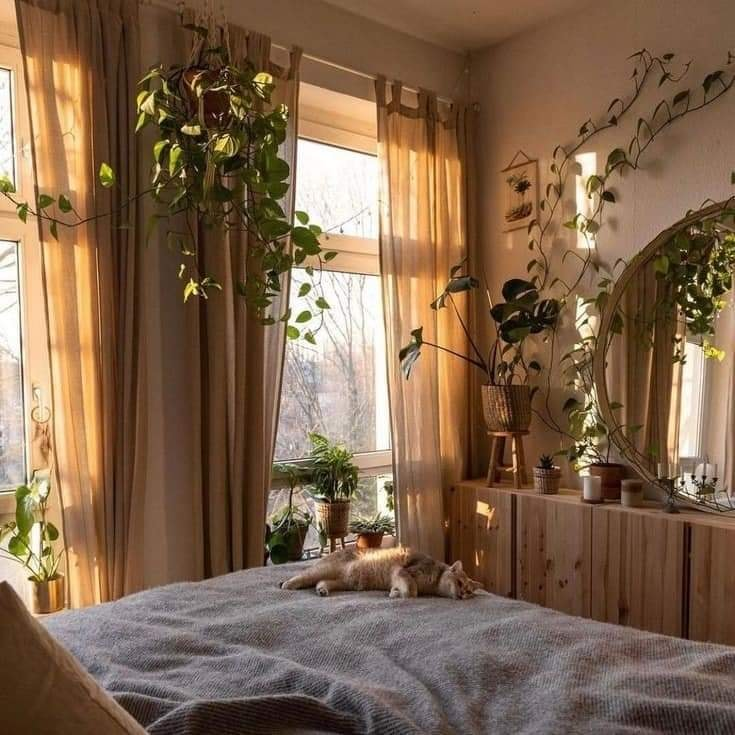 prettiestavenue's tweet photo. house plants https://t.co/sfZqGO09Ml