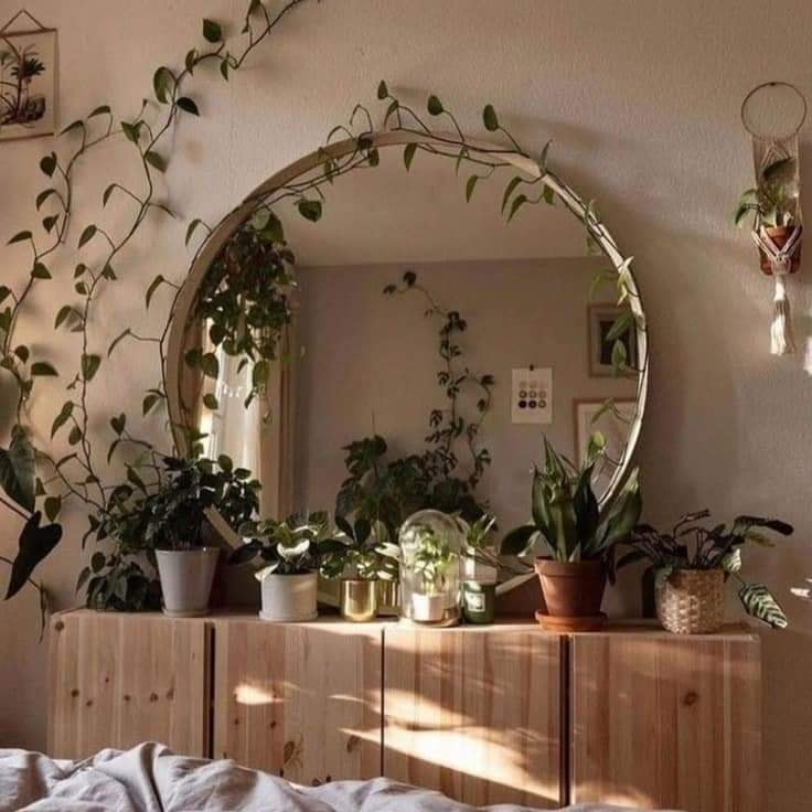 prettiestavenue's tweet photo. house plants https://t.co/sfZqGO09Ml