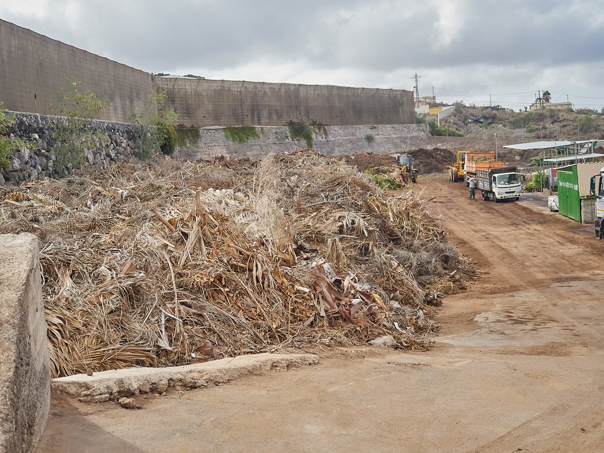 ♻️ 90.000 kilos de restos orgánicos y de poda hoteleros se transforman en 14.000 kilos de compost para fincas ecológicas de Tenerife, que podrán nutrir hasta 2.000 plantas de plataneras, 20.000 metros cuadrados de cultivos de papas o 14.000 de plantaciones hortofrutícolas.