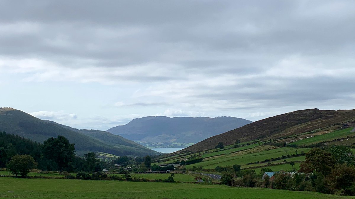 Walk on Crotlieve #westernmournes #views #cooleymountains #slievefoy #schnauzer #SchnauzerGang @WeatherCee @deric_tv @Mournelive @barrabest @CarlingfordIRE @visitmourne @MourneDaily @NTMournes #mushrooms #wildmushrooms #forest