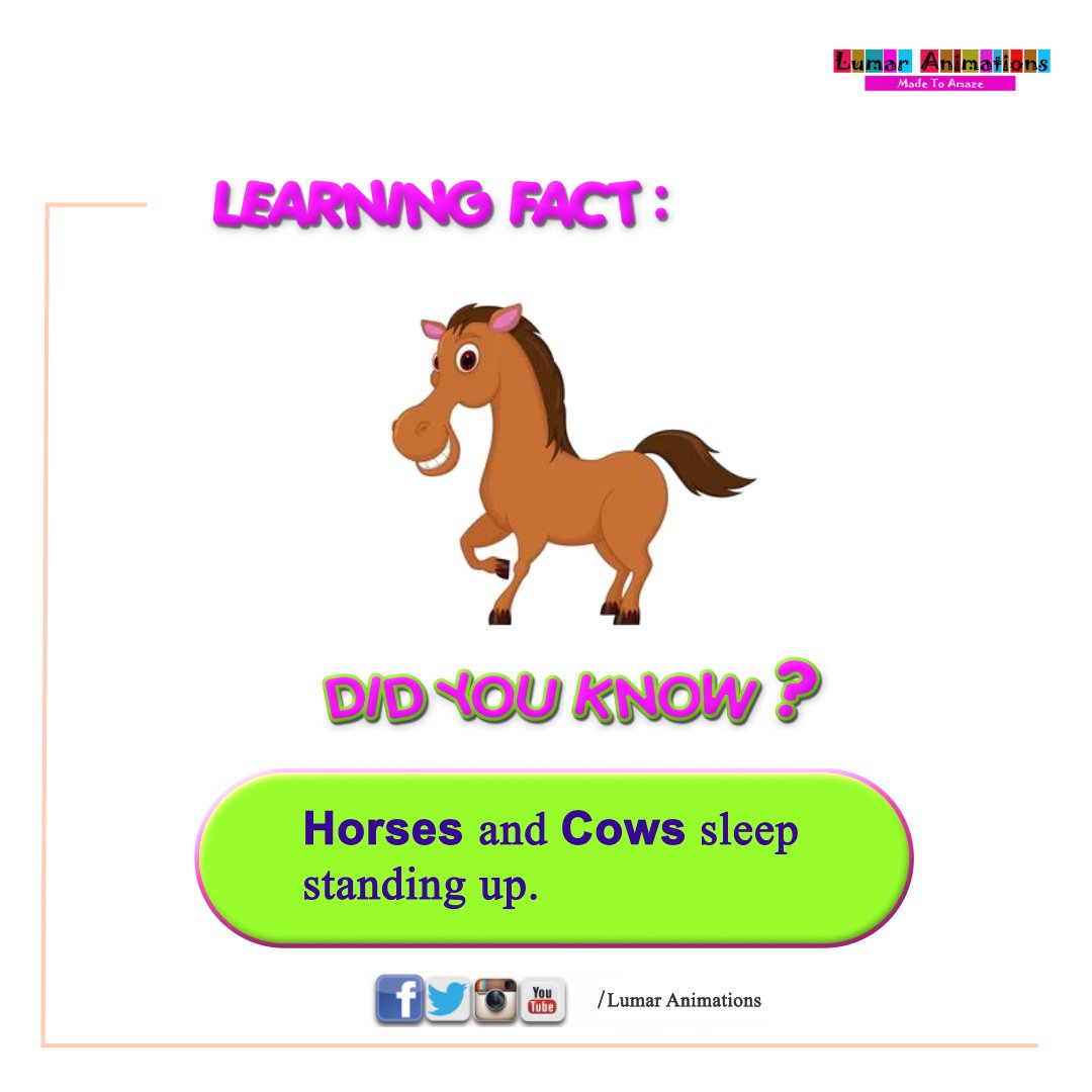 lumarlearning's tweet photo. Fun learning fact:  Did you know Horses and Cows sleep standing up?🤔

#learningfact #lumarlearning #elearning #ECD #parenthood #parentingtips  #kidsbooks #homeschooling #animalfacts #facts #digitallearning https://t.co/a3kRjxcimT