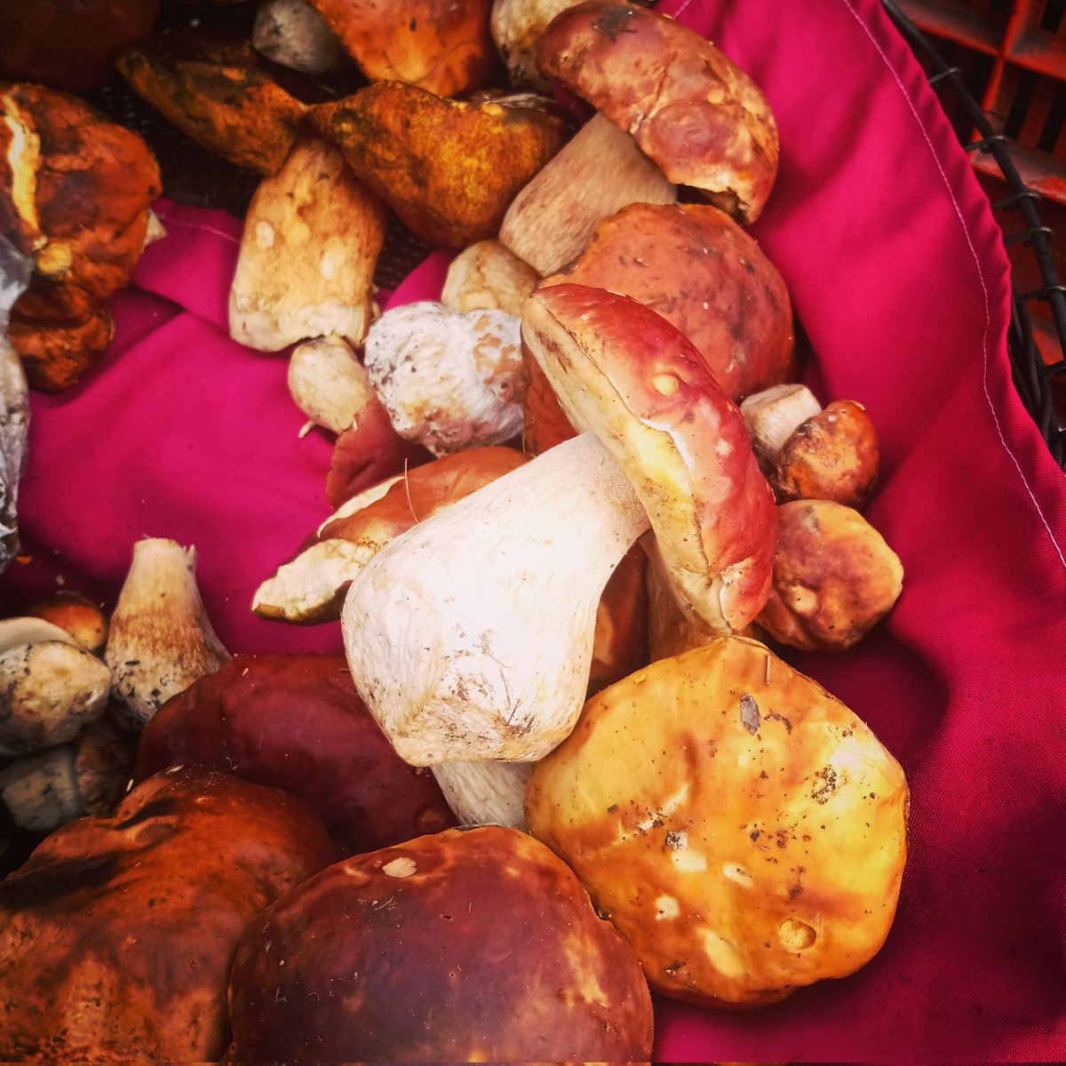 Comixcal tweet media