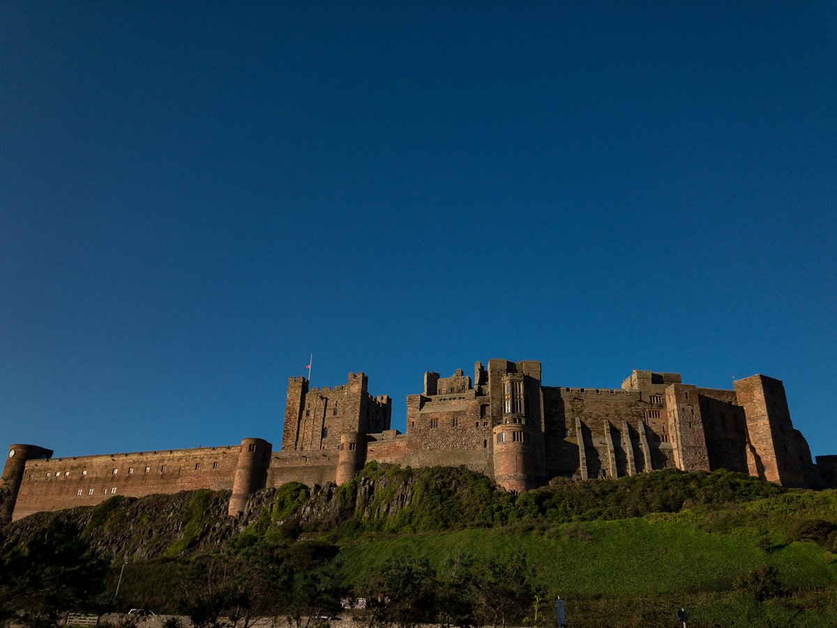 Matthew Lewis tweet media