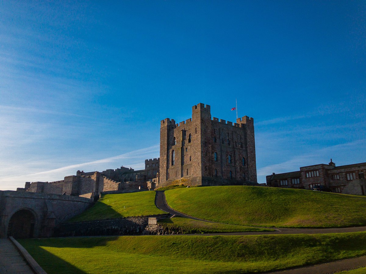 Matthew Lewis tweet media