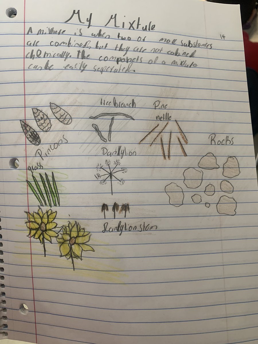 jackierios910's tweet photo. Yesterday’s science lesson on mixtures, brought to you by nature ☀️ 🌳 🍃 🍁 https://t.co/fx6ivbtTQE