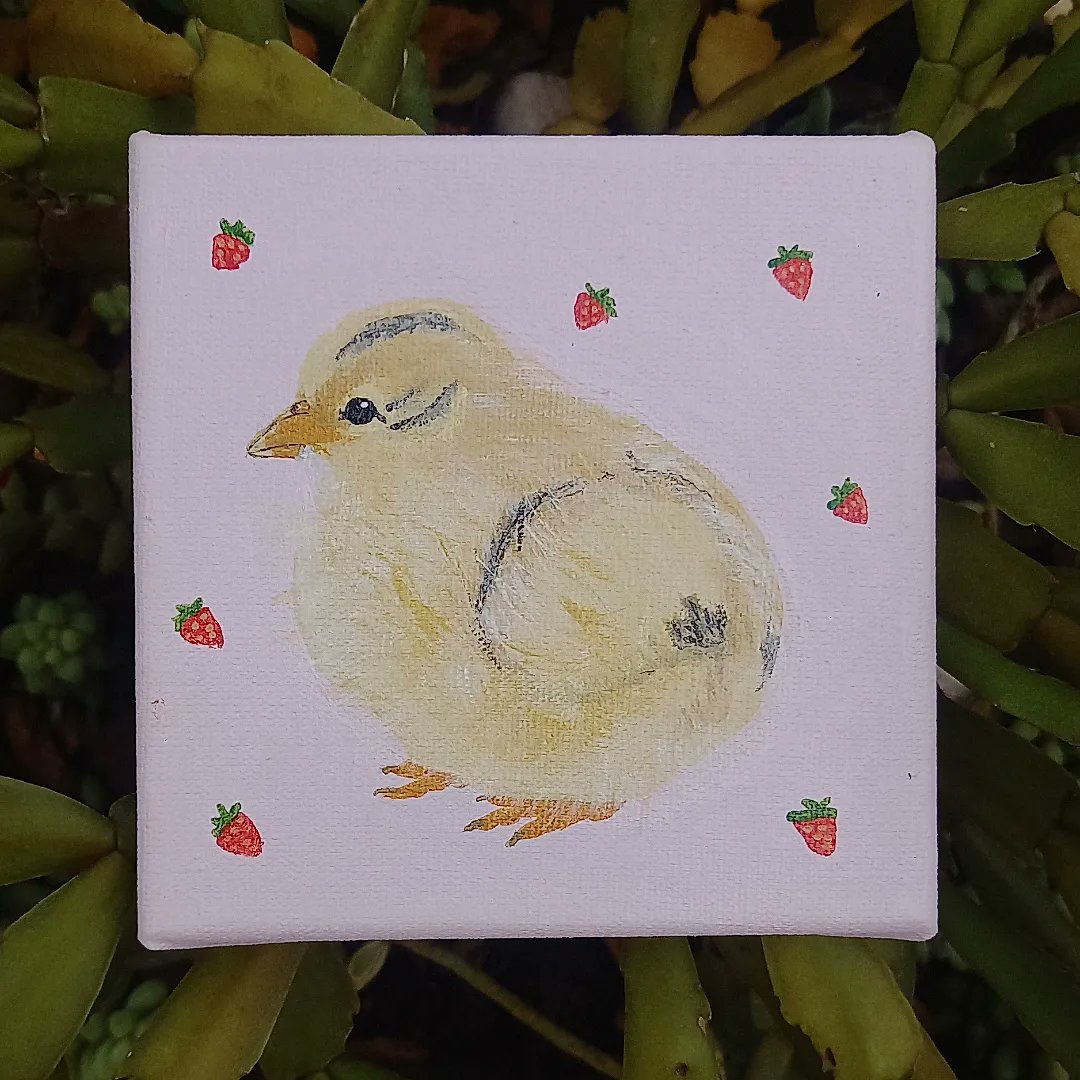 desenhos_da_ca's tweet photo. E essa fofura?
#art #artist #arte #artista #desenho #drawing #pintura #painting #desenhosdaca #animal #animals #amateur #tela #canvas #nature #natureza #tiktok #acrilicpainting #fy #pintinho #chick #babychickens https://t.co/Tw6npf0OwK