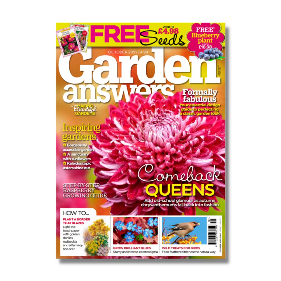 NEW ISSUE DAY! 🍂
The October issue of Garden Answers is packed with ideas for keeping your garden looking good as autumn arrives. On sale now!

Find out more here  bit.ly/3qE0ajq