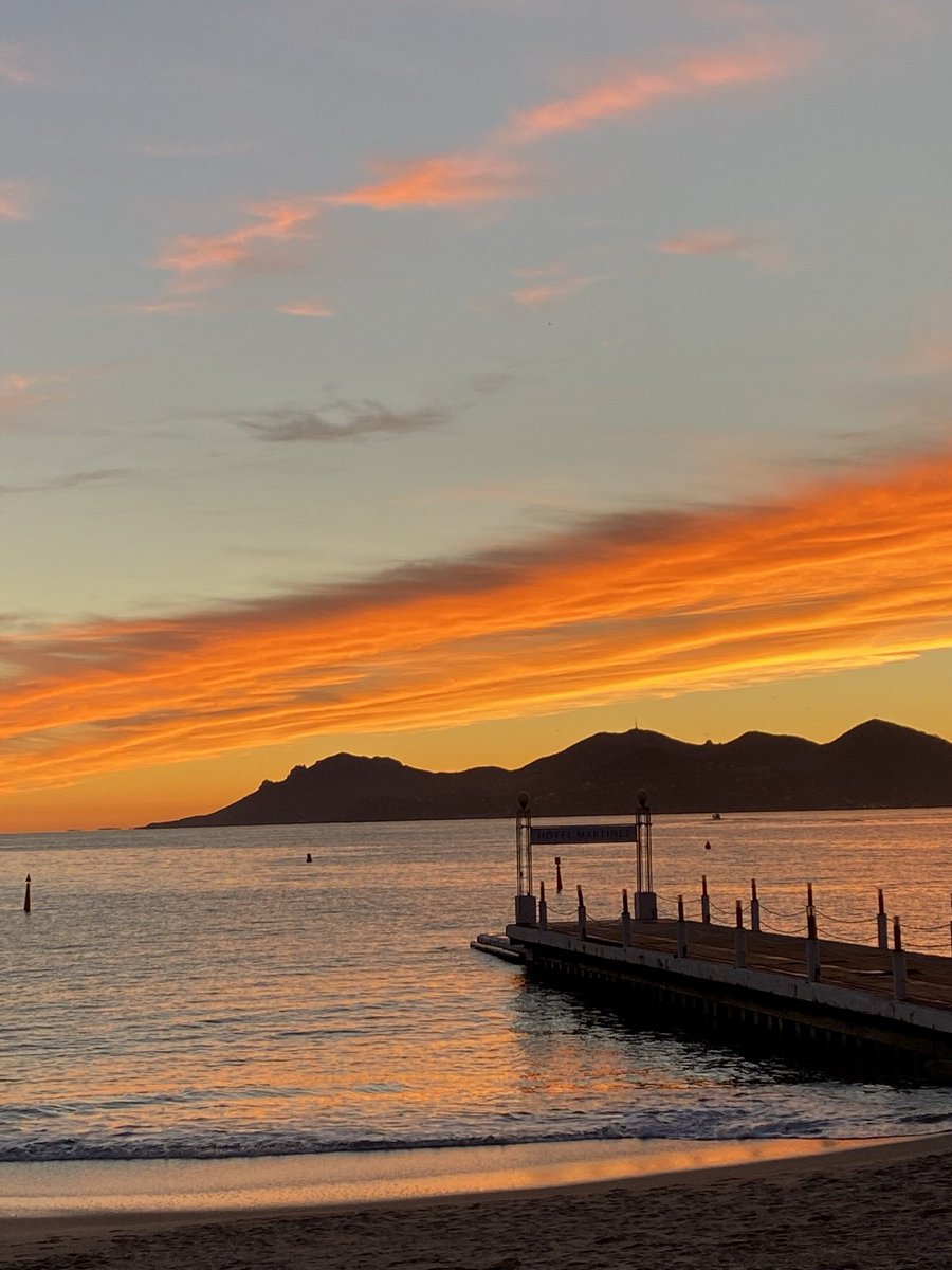 Marjorie Pesqué tweet media