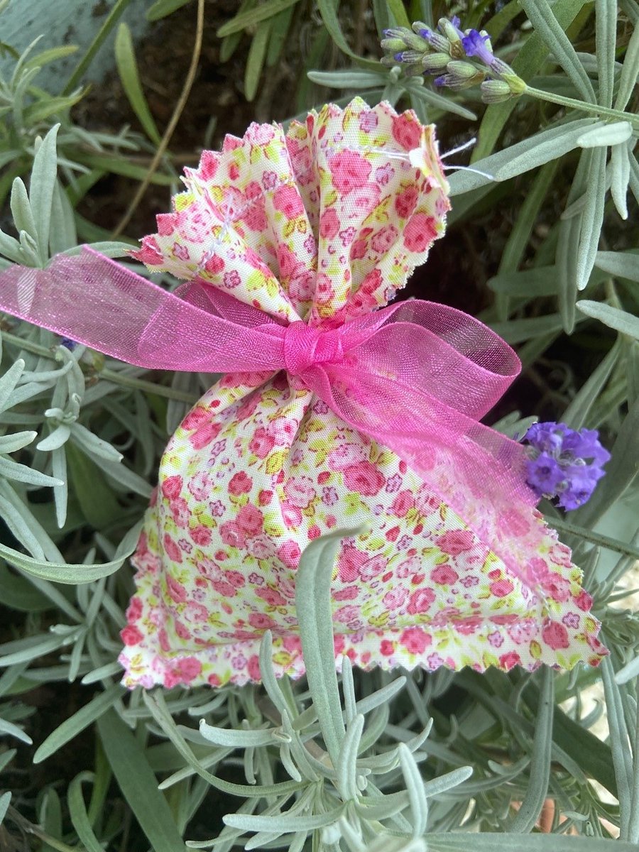 BCS_Senior's tweet photo. Our pupils have been having lots of fun #fundraising for #Willdoes💙Rosie raised over £100 by organising a game of Chicken Poo Bingo with her chicken 'Flo'🐔, while Isla has been doing a roaring trade selling  handmade lavender bags for £3! 🤩 #walkwithBCS @Willdoes2004 https://t.co/qatnNPK2ys