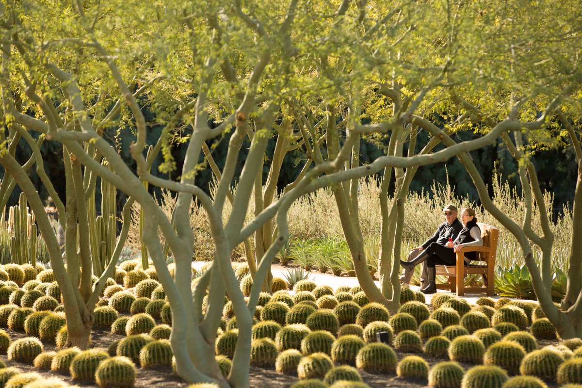 #Sunnylands reopens today with a new exhibition and tours of the historic estate. Admission to the Center &amp; #Gardens is free from 8:30 am to 4 pm, Wednesday through Sunday.
bit.ly/3qATLFC