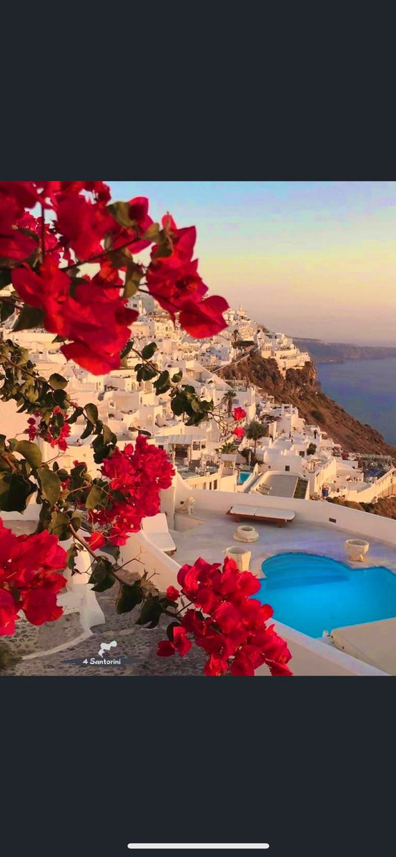 AngelAngelopou1's tweet photo. ✨Wishing all a fantastic day, always with a smile&amp; some love from gorgeous Greece 😇❤️🇬🇷🌎 https://t.co/ldpMme8Xfn