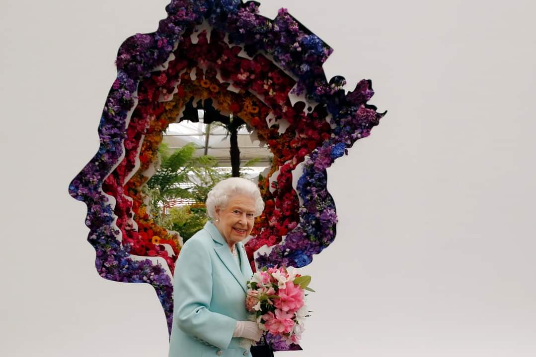 Allies Network (@allies_network) on Twitter photo The passing of Her Majesty The Queen has left everybody at Allies Network C.I.C. deeply saddened, and our thoughts and condolences are with the Royal Family at this time. The passing of Her Majesty The Queen has left everybody at Allies Network C.I.C. deeply saddened, and our thoughts and condolences are with the Royal Family at this time.