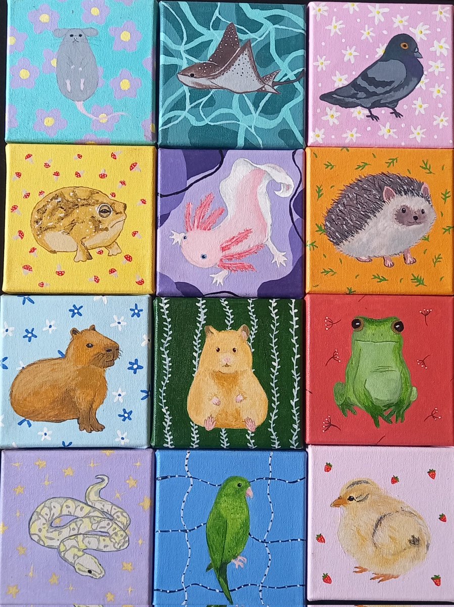 desenhos_da_ca's tweet photo. Todas as minhas pinturinhas até agora! #art #artist #arte #artista #desenho #drawing #pintura #painting #desenhosdaca  #animal #animals #amateur #tela #canvas #nature #natureza #tiktok #acrilicpainting https://t.co/K0ceGEdlsY