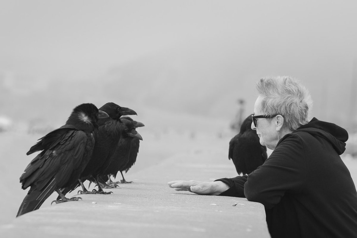 francielbm's tweet photo. @bavugar @sharafi_eth @nabulines “Dark Beauty”
Which portrays a beautiful friendship between a lady and her crows.
1/1 
Available on @foundation https://t.co/EelYa39Q7r