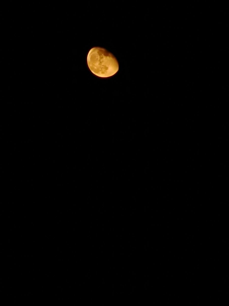 🌖