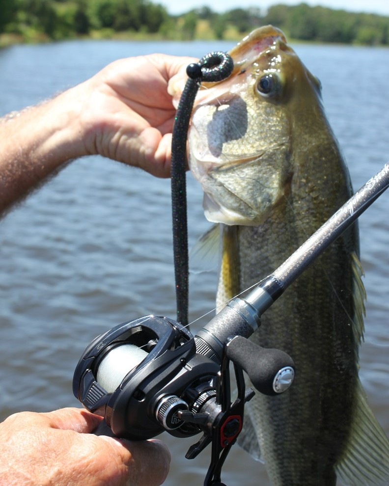SoftSteelTackle's tweet photo. The new Soft Steel Tatakai Japanese Fluorocarbon and Instint Fluorocarbon both are now available in bulk spool up to 1,200 yards.  Now you can completely spool up with your favorite fluoro.

#Tatakai
#Instinct https://t.co/eTrlwSBbnx