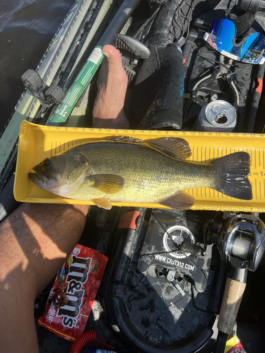 muay_taino's tweet photo. Drove the @VibeKayaks up to Wisconsin last wk and was lucky enough to throw a few on the @KetchProducts board, including new pb #pike ๐๐พ
.
.
#fishing #kayaking #kayakfishing #vibekayaks #ketchboard #stcroixrods #bestrodsonearth https://t.co/yH9HWsI43D