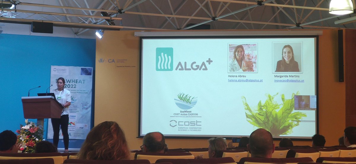 SeaWheatCOST's tweet photo. Alga+ has been presented by Dr Helena Abreu: they are a portugues company related to the sustainable seaweed farming for food and cosmetics purposes
#algae #ulva #ulvacostaction #ca20106 #seawheat #seaweed https://t.co/GCsbfupYIT