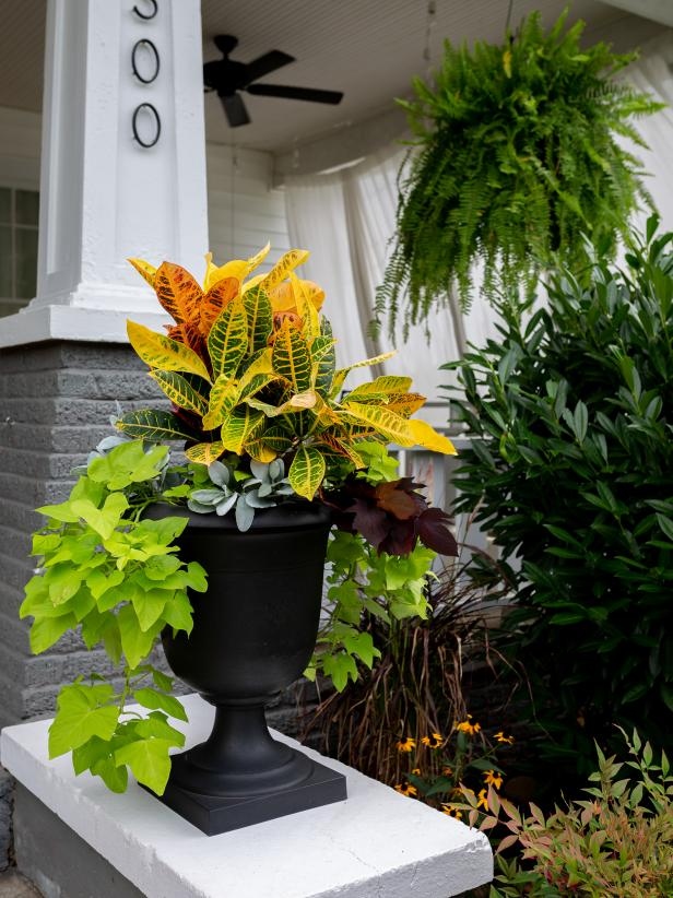 HGTV tweet media