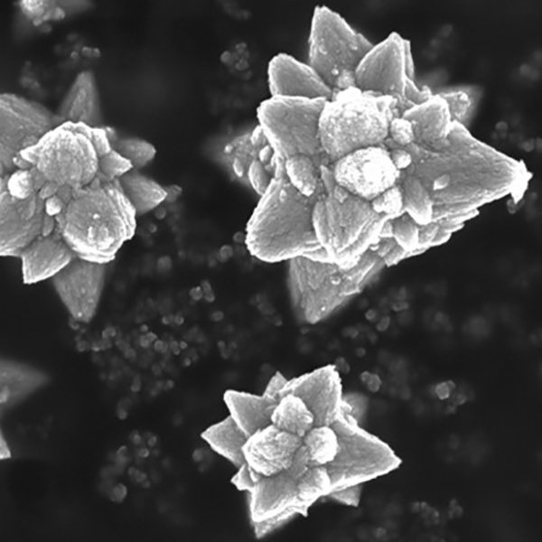 Advanced Portfolio News (@advportfolio) on Twitter photo To help combat antibiotic resistance, these self-propelling zinc oxide microrobots were built to find and degrade antibiotics released into water bodies <a href="/PumeraGroup/">Pumera Research Group</a>
Read the paper: ow.ly/6ZsL50KJ5Rw To help combat antibiotic resistance, these self-propelling zinc oxide microrobots were built to find and degrade antibiotics released into water bodies <a href="/PumeraGroup/">Pumera Research Group</a>
Read the paper: ow.ly/6ZsL50KJ5Rw