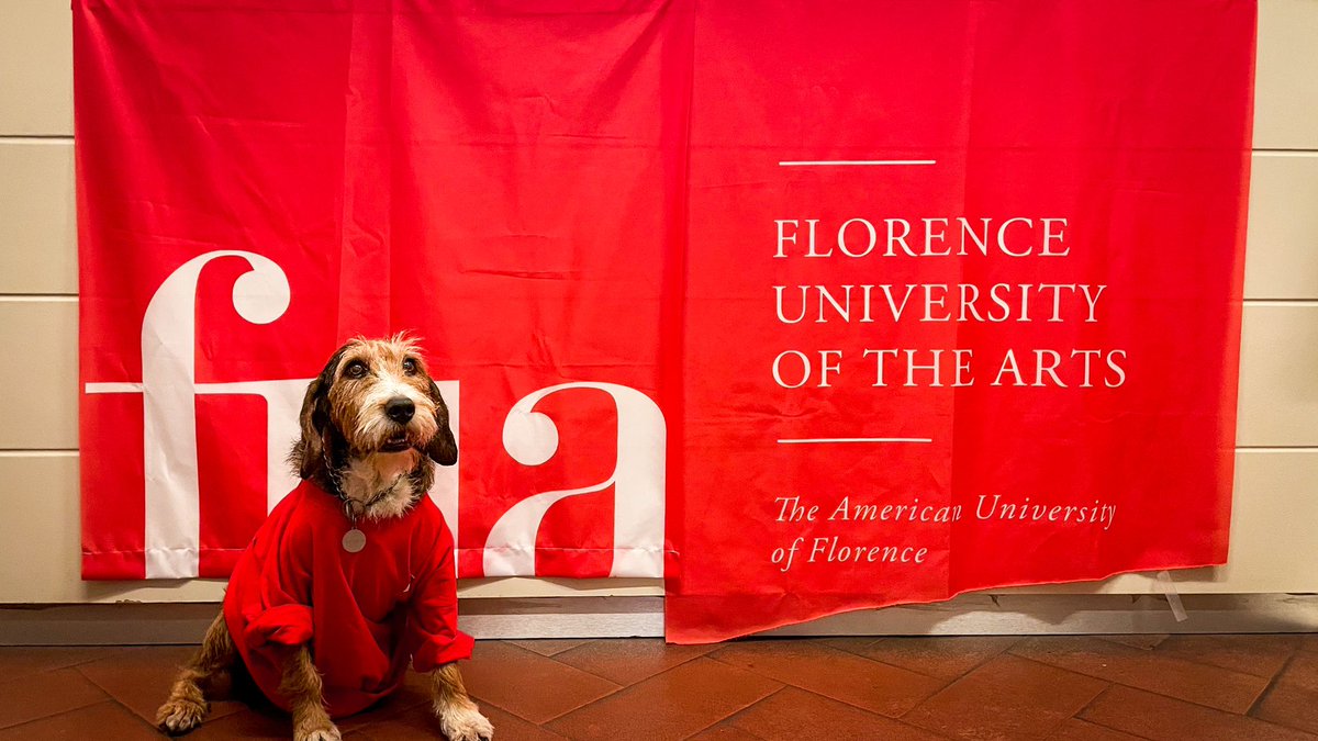 FUAuniversity's tweet image. Last week we had a very special visitor in the Student Life office. 
Baffo the doggie, was visiting his mom at work and was considering beginning a career in our Student Life Department! 
#storiesfromtheclassroom #sftc #studentlife #sld #petsoffuaauf #baffothedoggie