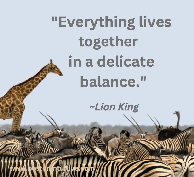 IntuitiveBoston's tweet image. 