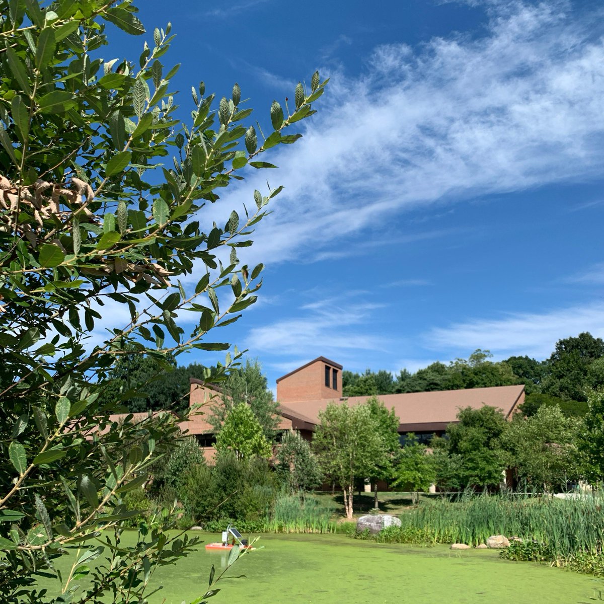 pacelibrary's tweet photo. Hey, Pace, you made it through Week 1! 15 more weeks and the Library is here as we go! 

Visit us on campus or chat with us at https://t.co/SMB8guj843. 

#PaceUniversity #PaceLibraries #SemesterCountdown #YouDidIt https://t.co/2K86Tn79gq