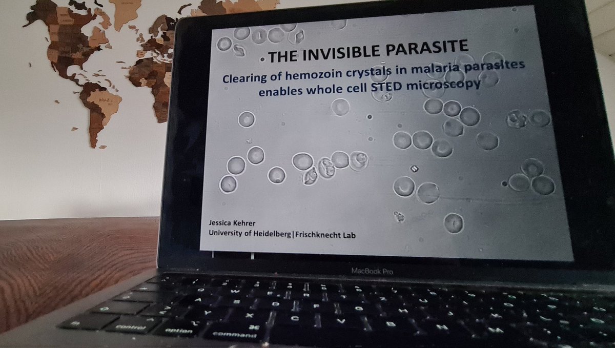 Preparations for #MPM2022 are ongoing. Looking forward to exciting days full of great science about our favourite parasites <a href="/parasitesrule/">parasitesrule</a>