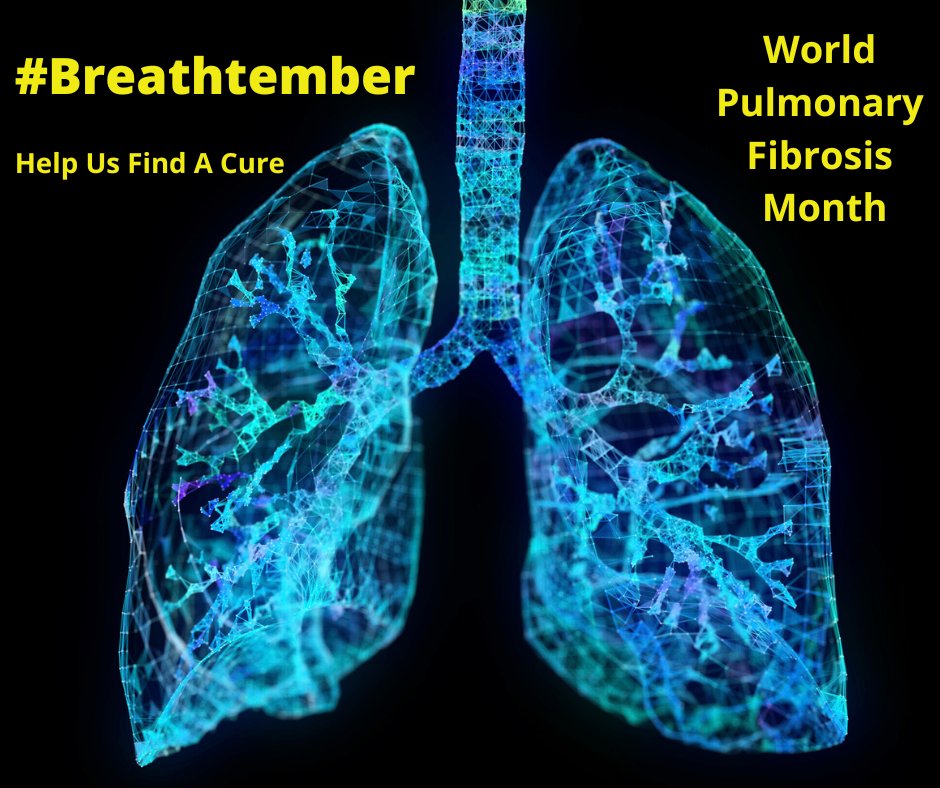 Breathingmatter's tweet photo. #Breathtember Day 24 #IPF Fact - Currently, lung transplantation is only cure for #IPF, but this is not a realistic option for majority + only way forward is researching better treatments.   #PulmonaryFibrosisAwareness #PFMonth #IPFWorldWeek #CurePF 
Pls RT to raise awareness https://t.co/Ch2GsiI3g1