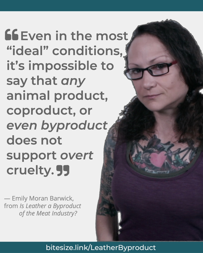 BiteSizeVegan's tweet photo. Viewing #leather as "just a byproduct" of the meat and dairy industries allows consumers to believe they aren’t supporting the cruelty inherent within those industries.

Learn the #truth: 

✧ On YouTube: https://t.co/0jFDWyWAI6
✧ On website: https://t.co/19LSGxkzS9

#vegan https://t.co/cfL0qUBscc