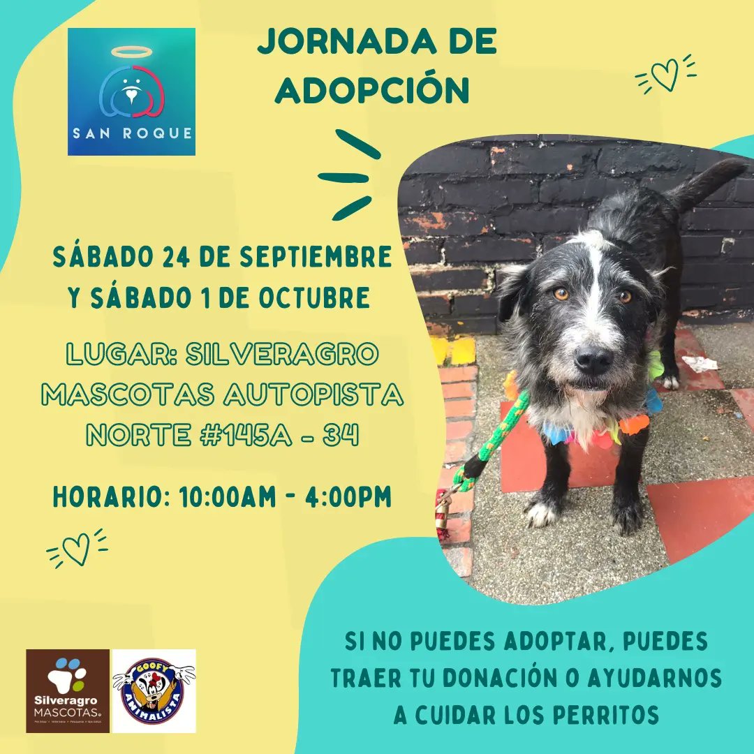 FundacionLucila's tweet photo. JORNADA DE ADOPCIÓN 🐶✨
Tenemos actualizaciones en nuestros requisitos de adopción.
SÁBADO 24 DE SEPTIEMBRE Y SÁBADO 1 DE OCTUBRE 💛✨.
Lugar: Silveragro Mascotas, Autopista Norte #145a - 34
Horario: 10:00am - 4:00pm
Nuevamente estaremos acompañados por @Goofyanimalista - https://t.co/ei3BDZs66h