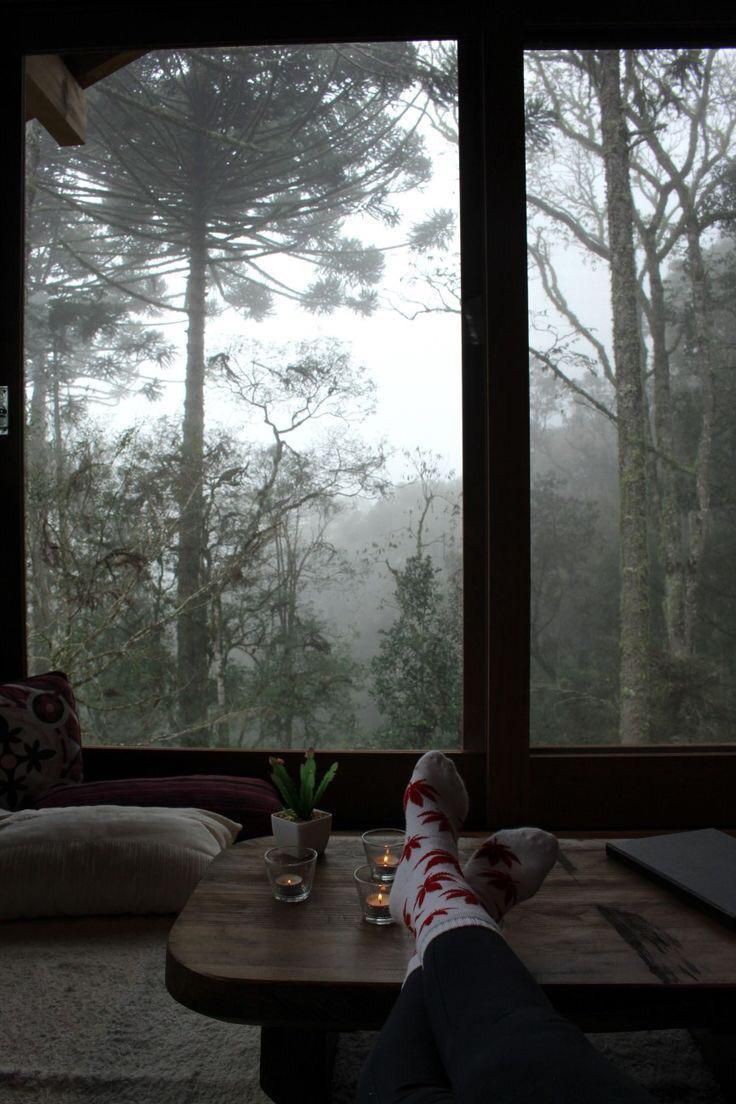 what a view
