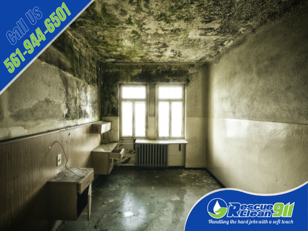 RescueClean911's tweet photo. Mold can grow almost anywhere.

Walls, ceilings, grout, and carpets are common locations, but with enough humidity, mold can also grow on upholstered furniture, leather, wood, and paper.

https://t.co/F0NyQdni09 #fixerupper #property https://t.co/etMykmGea8