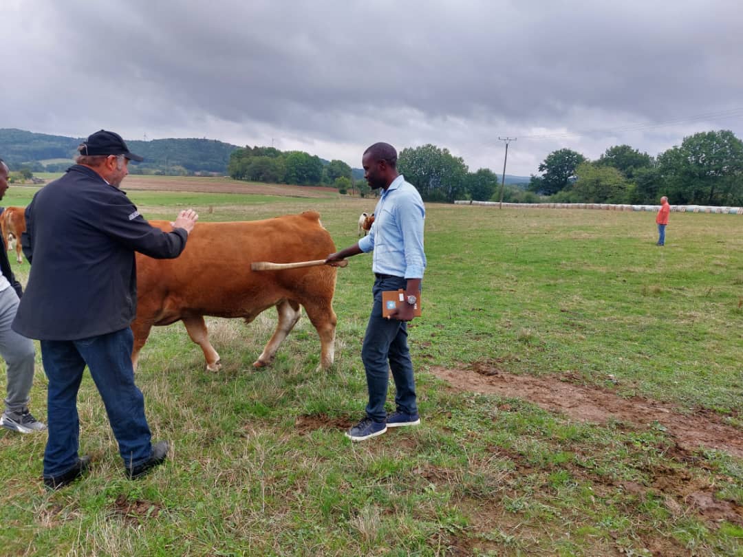 Nyamagabe District (@nyamagabe) on Twitter photo Umuyobozi w'Akarere <a href="/mwungeri/">Hildebrand Niyomwungeri</a> hamwe n'itsinda ry'abakozi b'Akarere ka #Nyamagabe bari mu ruzinduko mu #Budage, mu Ntara ya Rhineland-Palatinate, Akarere ka Birkenfeld, ni mu rwego rwo guteza imbere ubufatanye.
Uyu munsi basuye ibikorwa by'ubworozi bw'inka. Umuyobozi w'Akarere <a href="/mwungeri/">Hildebrand Niyomwungeri</a> hamwe n'itsinda ry'abakozi b'Akarere ka #Nyamagabe bari mu ruzinduko mu #Budage, mu Ntara ya Rhineland-Palatinate, Akarere ka Birkenfeld, ni mu rwego rwo guteza imbere ubufatanye.
Uyu munsi basuye ibikorwa by'ubworozi bw'inka.